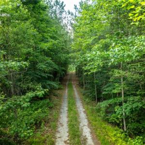 Photo #1 of 4881 Centerville Road, Williamsburg, Virginia 13.9 acres