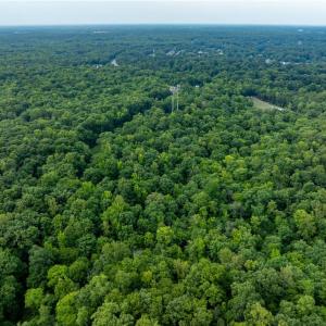 Photo #11 of 4881 Centerville Road, Williamsburg, Virginia 13.9 acres