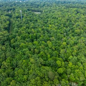Photo #12 of 4881 Centerville Road, Williamsburg, Virginia 13.9 acres