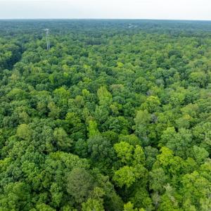 Photo #14 of 4881 Centerville Road, Williamsburg, Virginia 13.9 acres