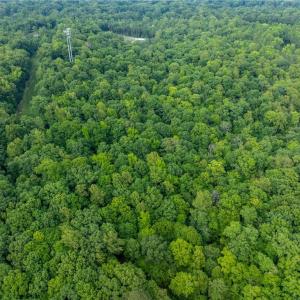 Photo #15 of 4881 Centerville Road, Williamsburg, Virginia 13.9 acres
