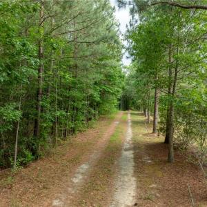 Photo #4 of 4881 Centerville Road, Williamsburg, Virginia 13.9 acres
