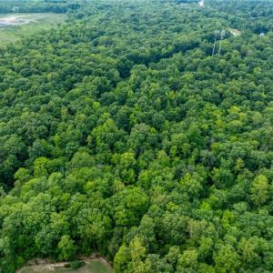 Photo #10 of 4881 Centerville Road, Williamsburg, Virginia 13.9 acres