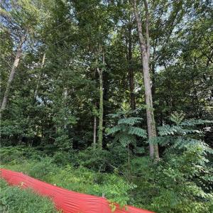 Photo #6 of 1117 Jackson Street, Virginia Beach, Virginia 1.1 acres