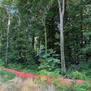 Photo #3 of 1117 Jackson Street, Virginia Beach, Virginia 1.1 acres