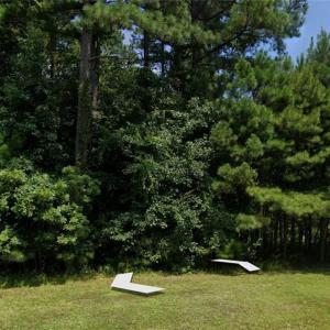 Photo #2 of 14307 Lawnes Creek Crossing, Smithfield, Virginia 5.0 acres