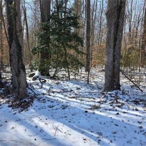 Photo #1 of Whitetail Drive, Gloucester, Virginia 12.0 acres