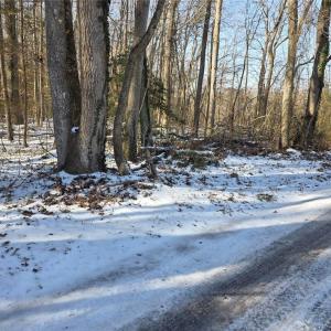 Photo #3 of Whitetail Drive, Gloucester, Virginia 12.0 acres