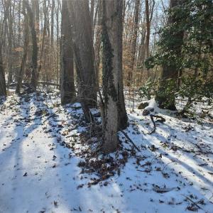 Photo #4 of Whitetail Drive, Gloucester, Virginia 12.0 acres