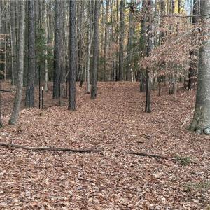 Photo #12 of 13441 Morris Creek Crescent, Charles City, Virginia 5.2 acres