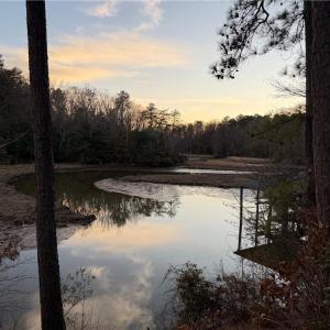 Photo #15 of 13441 Morris Creek Crescent, Charles City, Virginia 5.2 acres