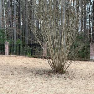 Photo #9 of 13441 Morris Creek Crescent, Charles City, Virginia 5.2 acres