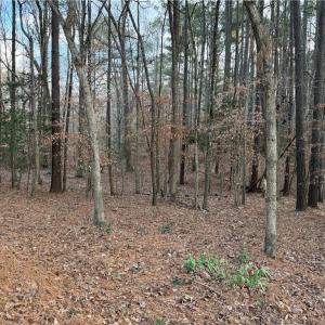 Photo #10 of 13441 Morris Creek Crescent, Charles City, Virginia 5.2 acres