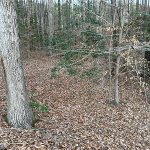 Photo #13 of 13441 Morris Creek Crescent, Charles City, Virginia 5.2 acres