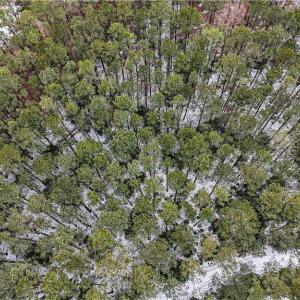 Photo #24 of 13441 Morris Creek Crescent, Charles City, Virginia 5.2 acres