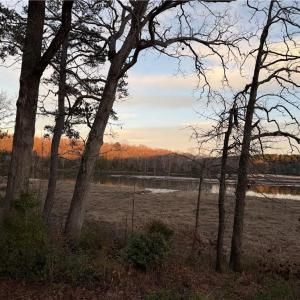 Photo #18 of 13441 Morris Creek Crescent, Charles City, Virginia 5.2 acres