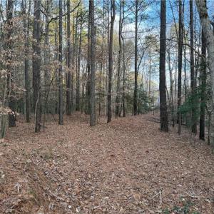 Photo #8 of 13441 Morris Creek Crescent, Charles City, Virginia 5.2 acres