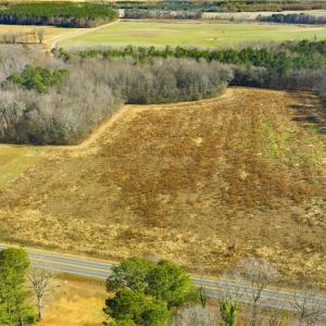 Photo #3 of 8374 Rolfe (Lot C) Highway, Dendron, Virginia 6.4 acres