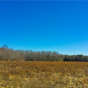 Photo #4 of 8374 Rolfe (Lot C) Highway, Dendron, Virginia 6.4 acres