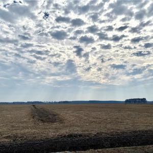 Photo #4 of 743 Bedford Street, Chesapeake, Virginia 3.8 acres