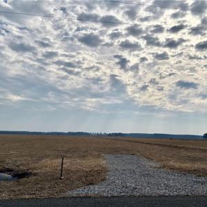 Photo #3 of 743 Bedford Street, Chesapeake, Virginia 3.8 acres