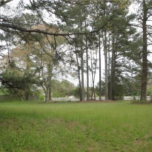Photo #11 of .51ac Holland Road, Suffolk, Virginia 0.5 acres