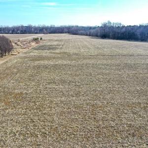 Photo #3 of Lot D Buskey Road, Chesapeake, Virginia 27.2 acres