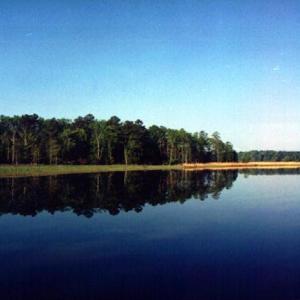 Looking downstream at property towards Jamestown on Powhatan Creek