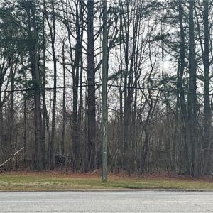 Photo #2 of .34ac Military Highway, Chesapeake, Virginia 0.3 acres