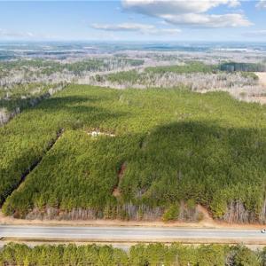 Photo #2 of 10445 Southampton Parkway, Drewryville, Virginia 165.1 acres