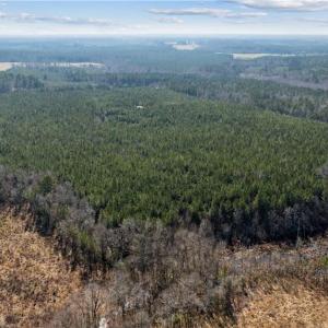 Photo #15 of 10445 Southampton Parkway, Drewryville, Virginia 165.1 acres