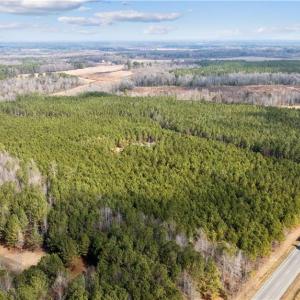 Photo #4 of 10445 Southampton Parkway, Drewryville, Virginia 165.1 acres