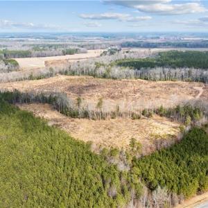 Photo #5 of 10445 Southampton Parkway, Drewryville, Virginia 165.1 acres