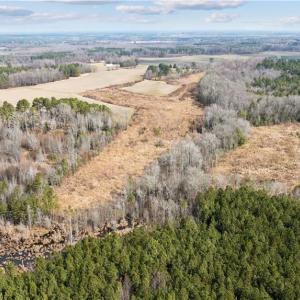 Photo #7 of 10445 Southampton Parkway, Drewryville, Virginia 165.1 acres