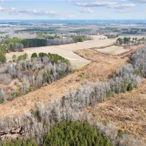 Photo #8 of 10445 Southampton Parkway, Drewryville, Virginia 165.1 acres