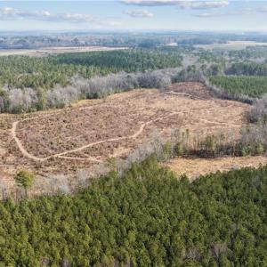 Plenty of room to build one or multiple homes.