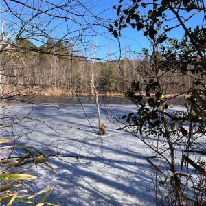 Photo #16 of 10445 Southampton Parkway, Drewryville, Virginia 165.1 acres