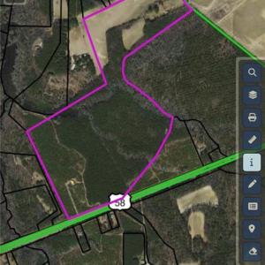 Photo #3 of 10445 Southampton Parkway, Drewryville, Virginia 165.1 acres