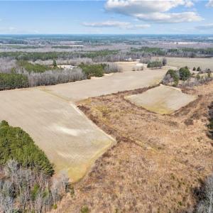 Photo #24 of 10445 Southampton Parkway, Drewryville, Virginia 165.1 acres