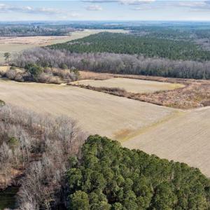 Photo #30 of 10445 Southampton Parkway, Drewryville, Virginia 165.1 acres