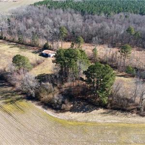 Photo #31 of 10445 Southampton Parkway, Drewryville, Virginia 165.1 acres