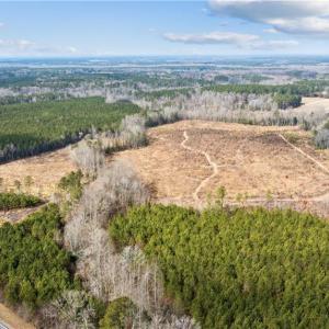 Photo #10 of 10445 Southampton Parkway, Drewryville, Virginia 165.1 acres