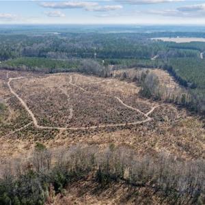 Aerial view showing more of the trails