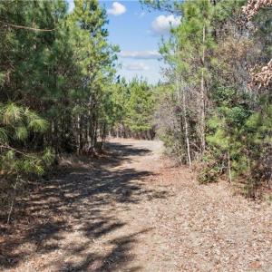 3,000 feet of well maintained trails