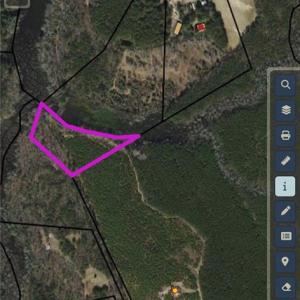 Photo #6 of 10445 Southampton Parkway, Drewryville, Virginia 165.1 acres