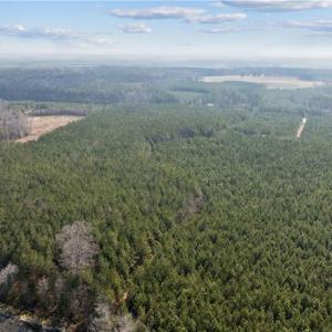 Photo #14 of 10445 Southampton Parkway, Drewryville, Virginia 165.1 acres