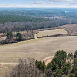 Photo #28 of 10445 Southampton Parkway, Drewryville, Virginia 165.1 acres