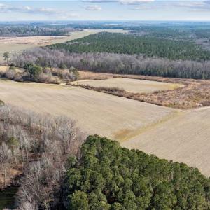 Photo #30 of 10445 Southampton Parkway, Drewryville, Virginia 165.1 acres