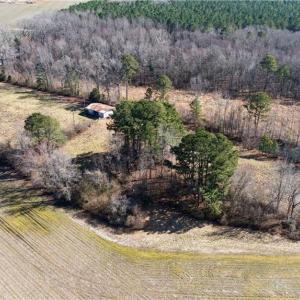 Photo #31 of 10445 Southampton Parkway, Drewryville, Virginia 165.1 acres