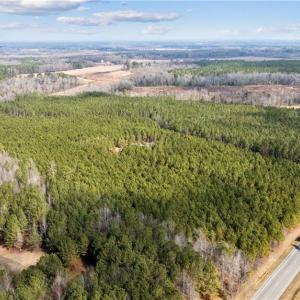 Photo #8 of 10445 Southampton Parkway, Drewryville, Virginia 165.1 acres